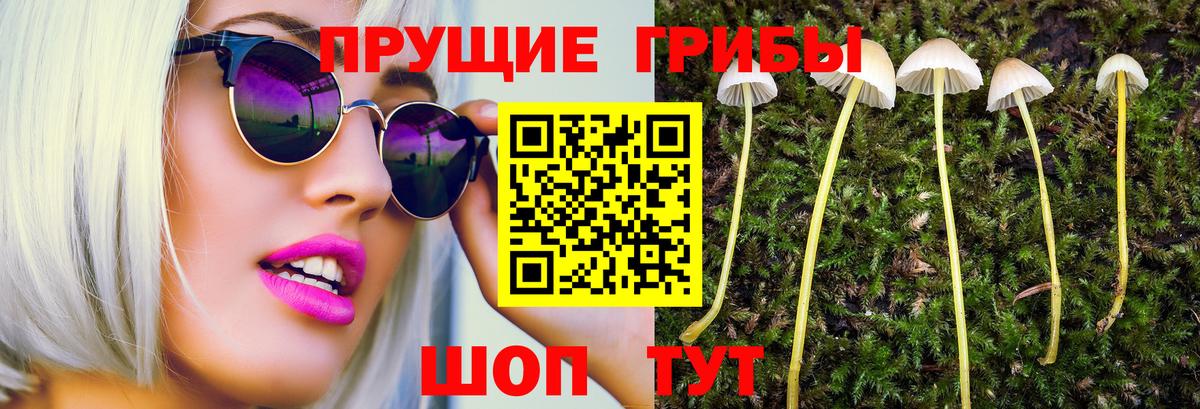 Псилоцибиновые грибы ЛСД Ярославль
