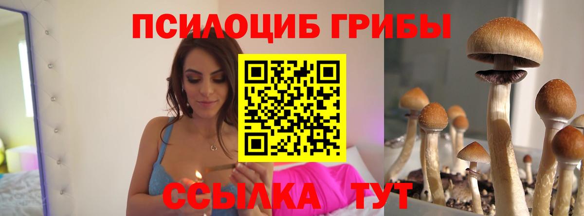 Ярославль  Псилоцибиновые грибы Magic Shrooms  Псилоцибиновые грибы мицелий  купить наркотик  Вход с VPN 